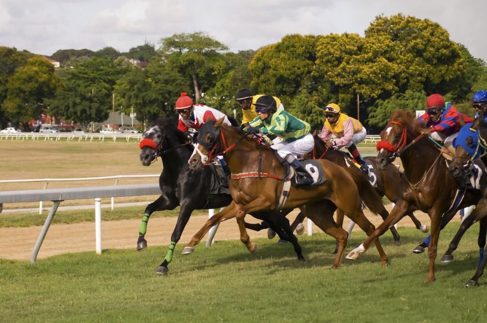 Horse races in Barbados 