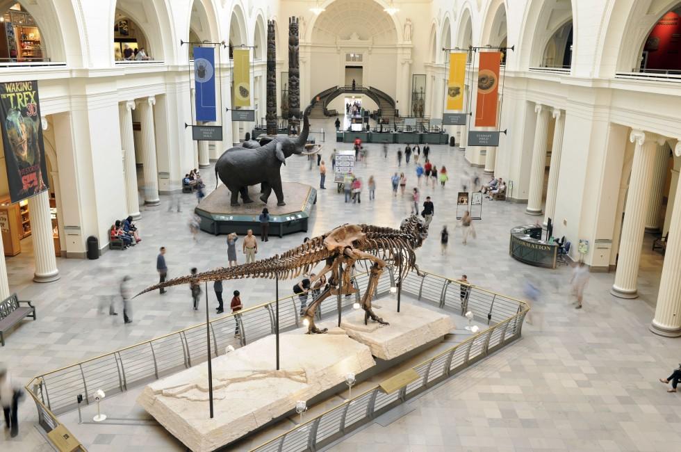 CHICAGO, IL &#x2013; MARCH 23: Field Museum of Natural History on March 23, 2012 in Chicago, Illinois