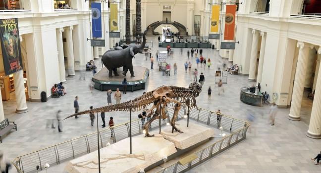 CHICAGO, IL &#x2013; MARCH 23: Field Museum of Natural History on March 23, 2012 in Chicago, Illinois