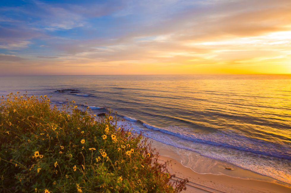 Popular travel destination; Laguna Beach California, against the sunset and wildflowers in bloom