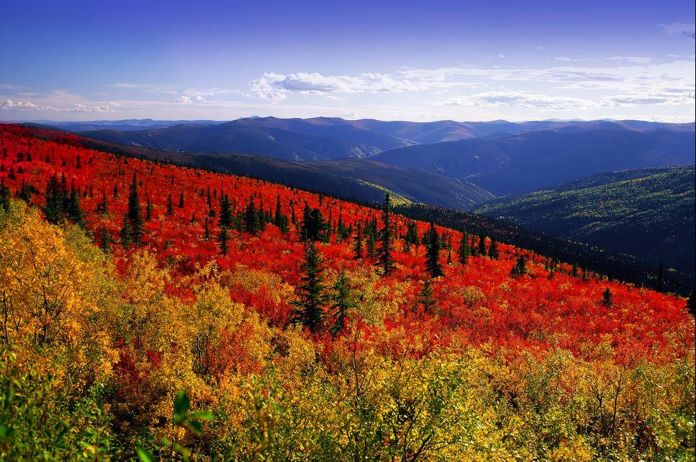 Yukon - Dawson Range in the fall, C