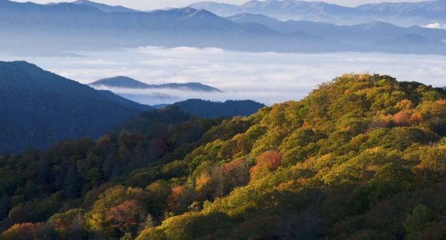 Fall colors in the Smoky Mountains National Park.