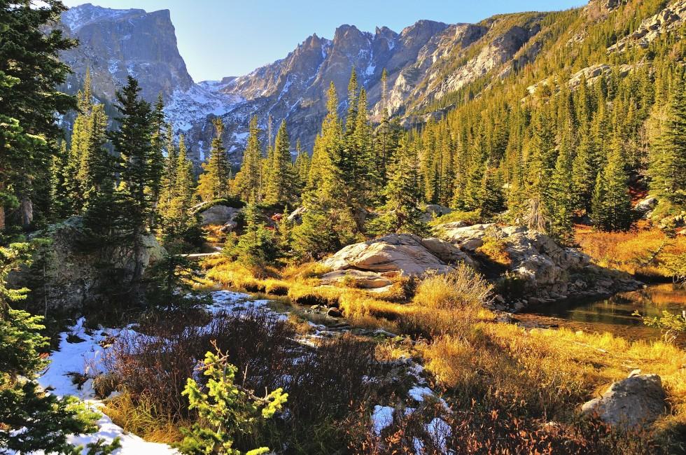 Colorful forest in Rocky Mountain National Park in fall with snow and mountains in background, Colorado, USA; 