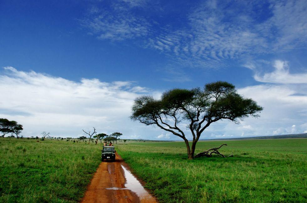 On safari in Tarangire National Park, Tanzania