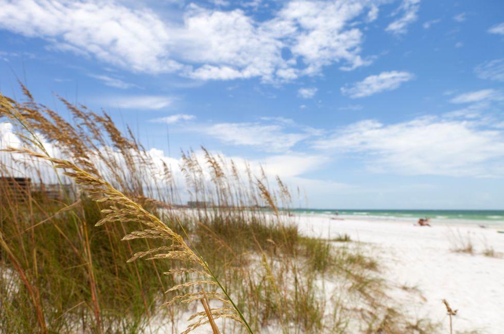 Siesta Key Beach is located on the gulf coast of Sarasota Florida with powdery sand.