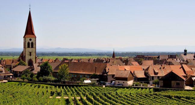Beautiful Scene of Alsace Wine Road (Ammerschwihr-Kayserberg, France); 