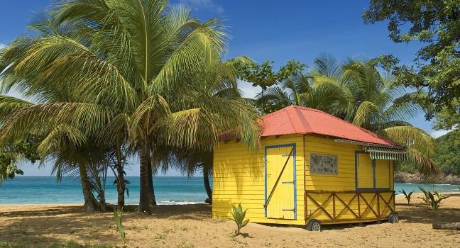 Yellow restaurant and palmtree in guadeloupe, carrabian island; Shutterstock ID 927393; Project/Title: Fodors; Downloader: Melanie Marin