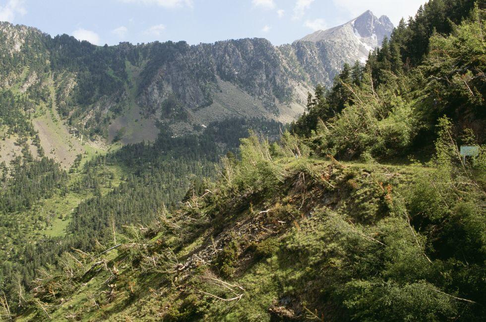 Landscape, Aguies Tortes National Park, Espot, Pyrenees, Spain