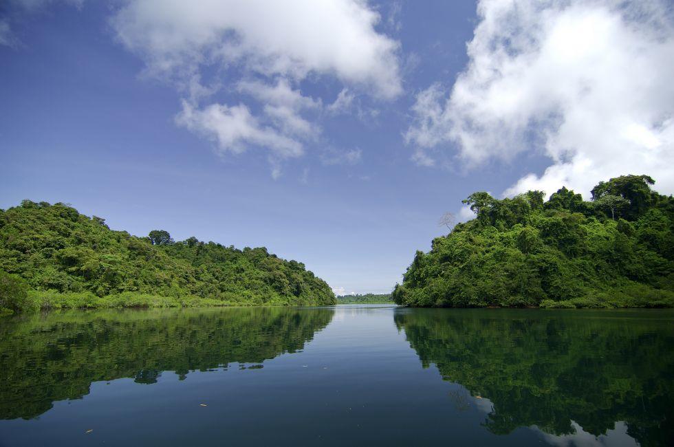Mangrove swamp at Coiba National Park. Coiba Island, Veraguas province, Pacific ocean, Panama, Central America.