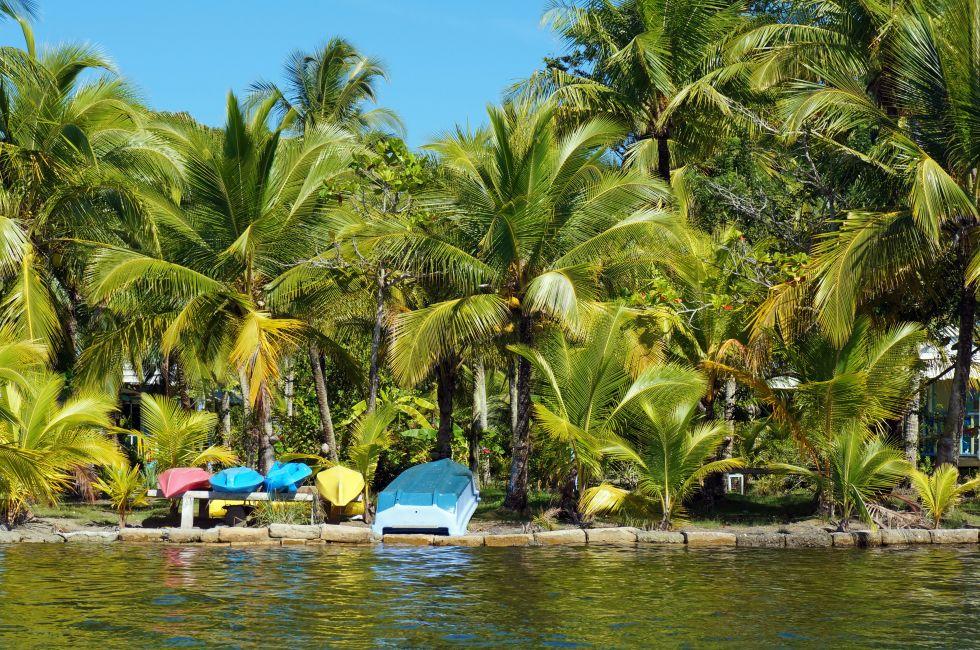 Tropical coast with coconut palm trees and colorful kayaks with a small boat awaiting tourists, Caribbean, Carenero island, Bocas del Toro, Panama.