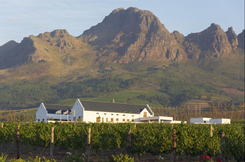Landscape scenics of vineyards and mountains Stellenbosch Winelands, Western Cape, South Africa.