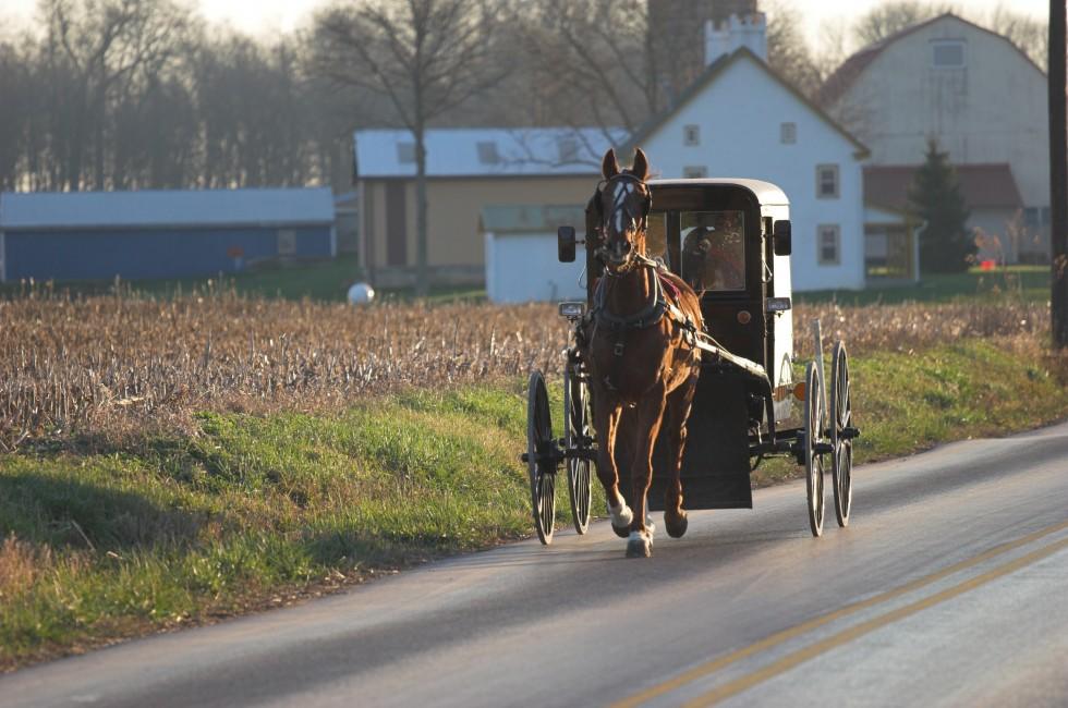 Amish horse and buggy, Chester County, Pennsylvania Dutch Country.