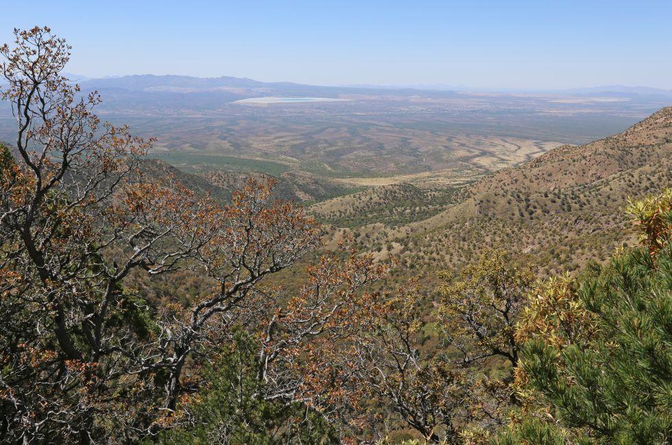 The view from high up in Madera Canyon, in the Santa Rita Mountains, located in Arizona, United States.