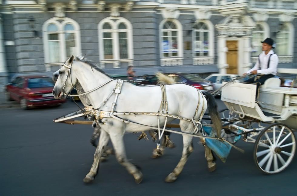 UKRAINE, ODESSA - June 11,2014: Moving carriage on a city street.